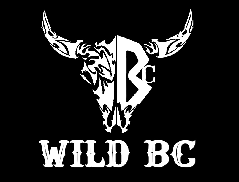 BC1 Group